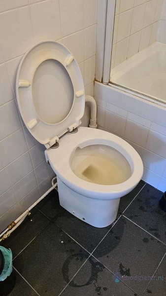  verstopping toilet Den Bosch